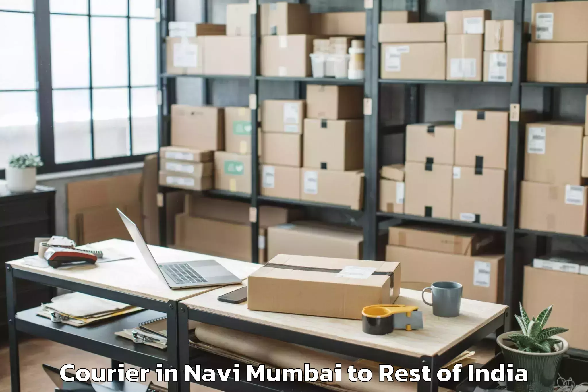 Navi Mumbai to Alampur P Courier Booking